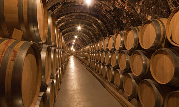 Wine barrels in the cellar represent SaniChem SA's wine industry involvement.